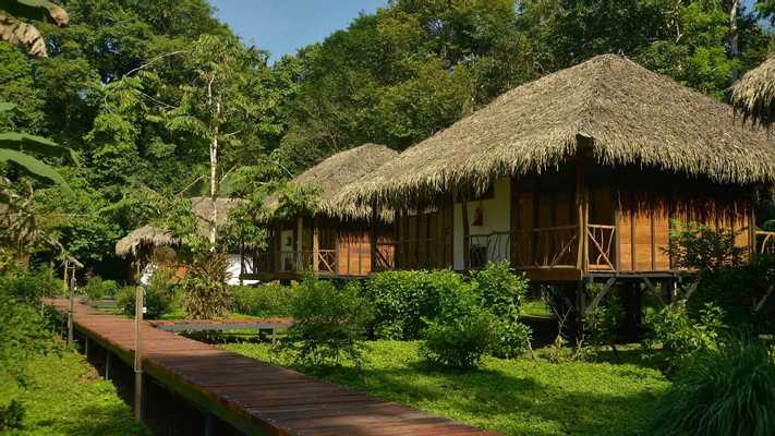 Sacha Lodge. Standard Room 4D/3N Program, 2 Double bed(s)